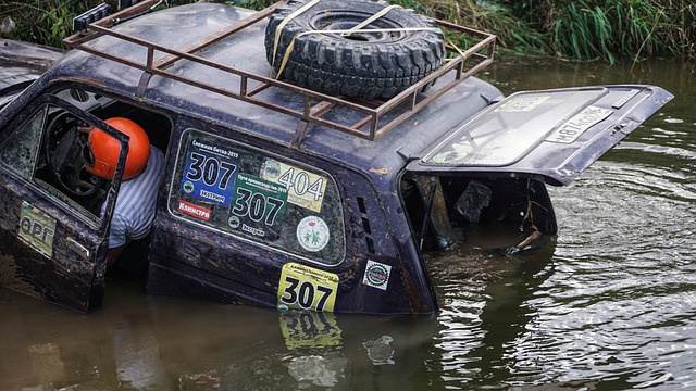 一位潜力新 一位潜力新