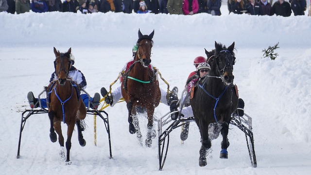 我宁愿是人 我宁愿是人