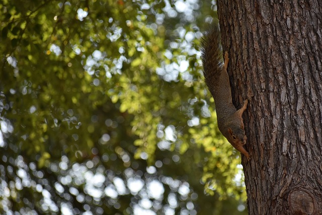 我一头雾水 我一头雾水