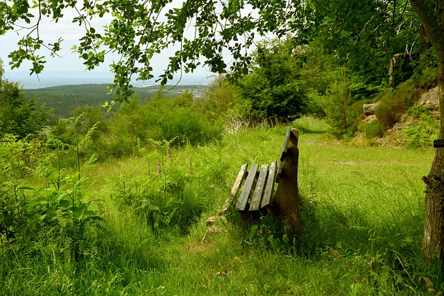 键时刻信赖 键时刻信赖