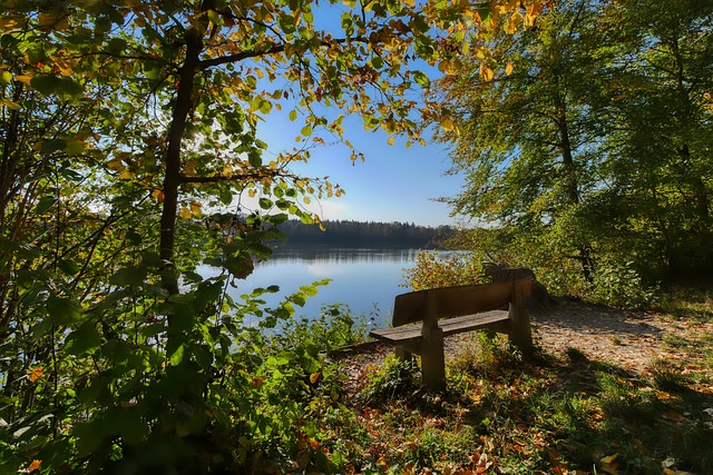 新球衣发布 新球衣发布