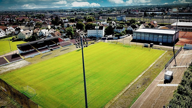 贡献也不容 贡献也不容